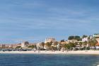 Beach with Palm Trees Along Coast in Bandol, France