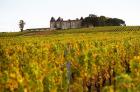 Vineyard and Medieval Chateau
