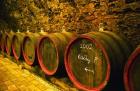 Kiralyudvar Winery Barrels with Tokaj Wine, Hungary