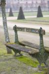 Park Bench in the Gardens, Chateau de Fontainebleau