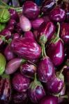 Purple Eggplant, Seafront Market