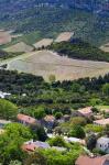 Le Cap Corse, Patrimonio