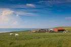 Farm by Cap Blanc Nez, Escalles