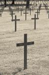 Neuville St-Vaast, WWI German military cemetery, Pas de Calais, France