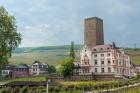 Carl Jung Vineyard, Boosenburg Castle