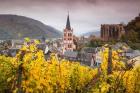 Germany, Rhineland-Pfalz, Bacharach, Elevated Town View In Autumn