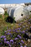 Greece, Cyclades, Delos Ancient Architecture