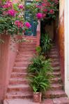 Colorful Stairways, Chania, Crete, Greece