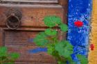 Geraniums and old door in Chania, Crete, Greece