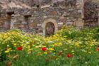 Old building and wildflowers, Island of Spinalonga, Crete, Greece