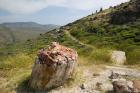 Petrified Forest, Sigri, Lesvos, Mithymna, Northeastern Aegean Islands, Greece