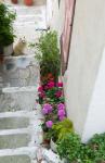 Street Detail, Vathy, Samos, Aegean Islands, Greece
