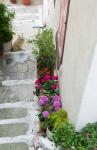 Street Detail, Vathy, Samos, Aegean Islands, Greece