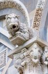 Gargoyle of Duomo Pisa, Pisa, Italy