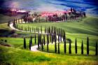 Italy, Tuscany, Val d'Orcia Farm Landscape