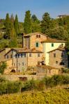 Italy, Florence, Winery, Villa