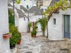 Typical Trulli Houses In Alberobello