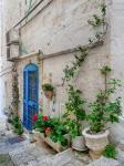 Italy, Puglia, Brindisi, Itria Valley, Ostuni Blue Door And Potted Plants