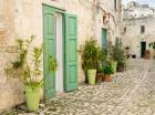 Italy, Basilicata, Matera Plants Adorn The Outside Walls Of The Sassi Houses