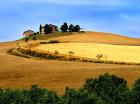 Italy, Tuscany, Farmhouse And Fields