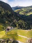 Viniculture Near Klausen In South Tyrol During Autumn, Italy