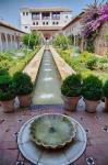 Spain, Granada Patio de la Acequia at Generalife garden