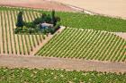 Spain, Granada Crops of the Andalusia Valley