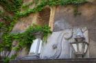 Spain, Granada Ivy growing on the walls of the Alhambra