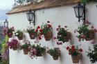 Geraniums along White Wall of Palacio de Mondragon, Ronda, Spain
