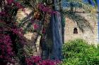 Plams, Flowers and Ramparts of Alcazaba, Malaga, Spain