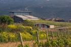 Bodegas Baigorri in Rioja Alavesa, Spain