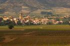 Village of Brinas surrounded by Vineyards, La Rioja Region, Spain