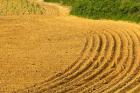 Tilled Ground Ready for Planting, Brinas, La Rioja, Spain