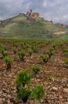 Vineyard in stony soil with San Vicente de la Sonsierra Village, La Rioja, Spain