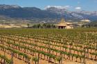 Small church next to the Wine Culture Museum, Briones village, La Rioja, Spain