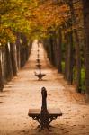 Parque del Buen Retiro, Madrid, Spain