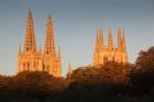 Spain, Castilla y Leon, Burgos Cathedral, Dawn