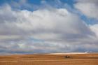 Farm Field In Autumn, Benavente, Spain