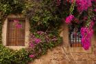 Flower-covered Buildings, Old Town, Ciudad Monumental, Caceres, Spain