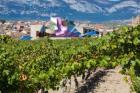 Town View, Elciego, Spain