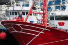 Spain, Cantabria Province, Santona, fishing boat