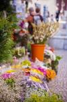 Spain, Cadiz, Plaza de Topete Flower Market