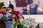 Spain, Cadiz, Plaza de Topete Flower Market