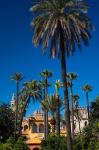 The Alcazar Gardens, Seville, Spain