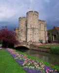 River Stour, Canterbury, Kent, England