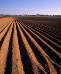 Ploughed Field, Surrey, England