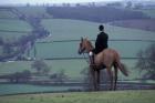 Man on horse, Leicestershire, England