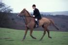 Horseback riding, Leicestershire, England