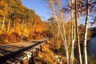 Tranquil Road with Fall Colors in New England