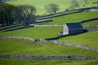 Farmland, Stone Walls and Buildings, near Malham, Yorkshire Dales, North Yorkshire, England